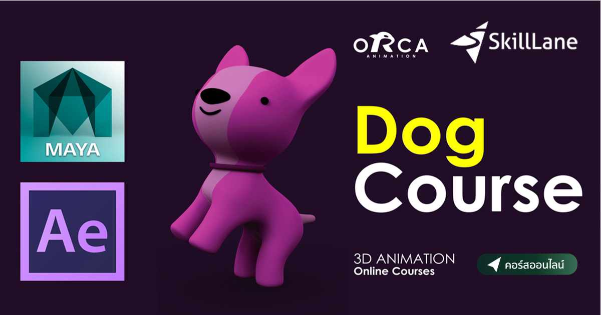 Dog Course (3D Animation) by ORCA Animation | คอร์สออนไลน์ | SkillLane